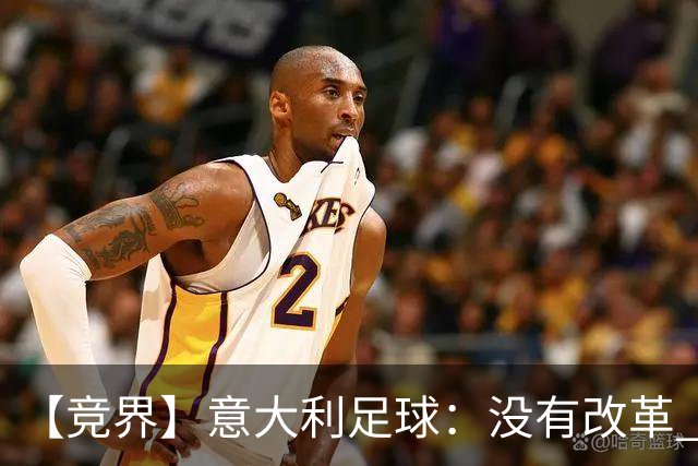 【竞界】意大利足球：没有改革 只有新的补锅匠