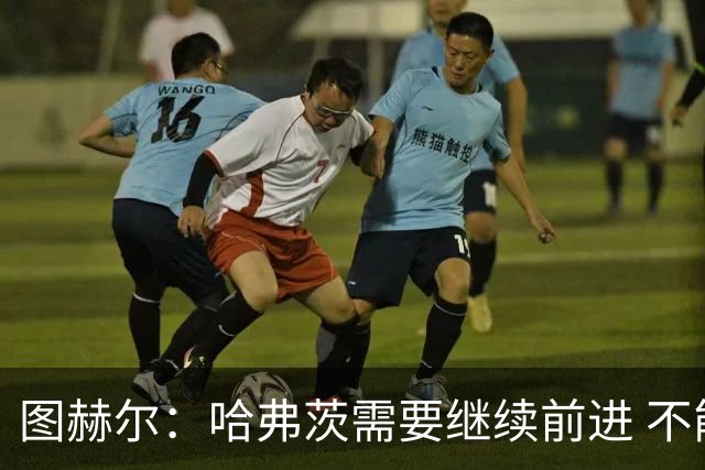 图赫尔：哈弗茨需要继续前进 不能过度使用詹姆斯