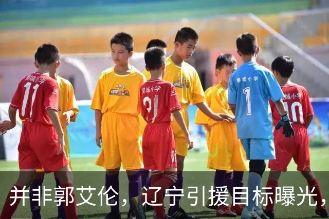 并非郭艾伦，辽宁引援目标曝光，国字号后卫，刚和球队闹翻，赵继伟期待