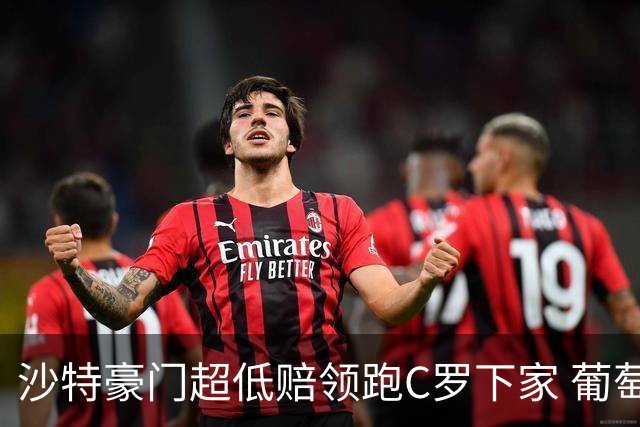 沙特豪门超低赔领跑C罗下家 葡萄牙球王下站已定?