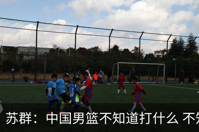 苏群：中国男篮不知道打什么 不知道打谁 没特点没核心
